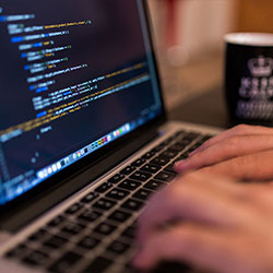 蘑菇视频官网app——带你穿梭在影像森林的官方入口