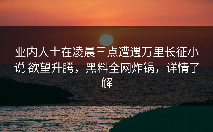 业内人士在凌晨三点遭遇万里长征小说 欲望升腾，黑料全网炸锅，详情了解